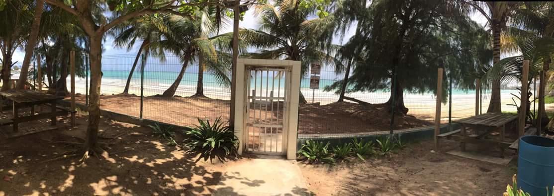 Beach Front Apt Isla Verde 2 Apartment San Juan Bagian luar foto